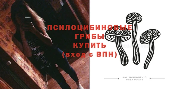 PSILOCYBIN Гусь-Хрустальный