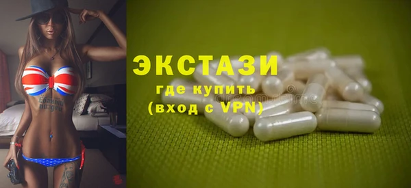 мдпв Ельня
