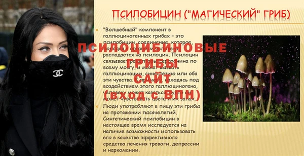 мяу мяу мука Дмитровск