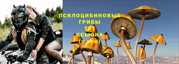 мяу мяу мука Дмитровск