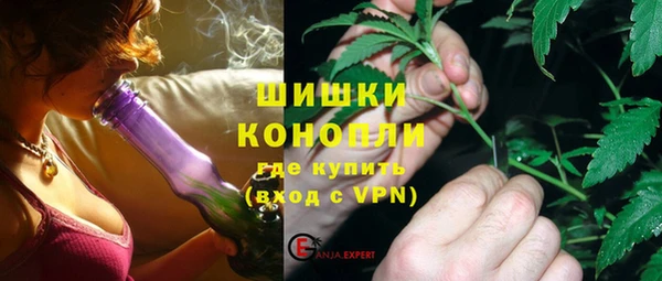 дмт Дмитров