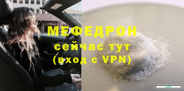 мдпв Ельня